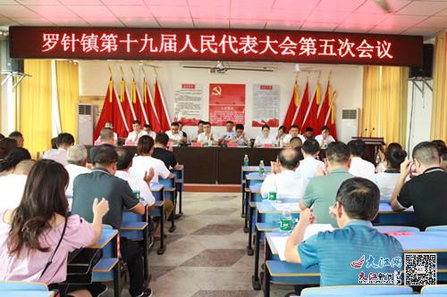 抚州临川罗针的奇妙日常新事揭秘