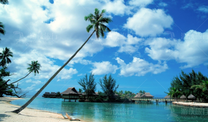 海南橡胶价格最新动态与心灵之旅,自然美景下的平和寻觅