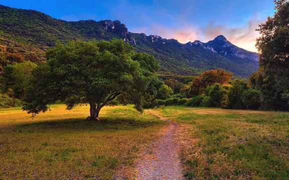 电脑微信最新版本,自然美景中的旅行邀请体验