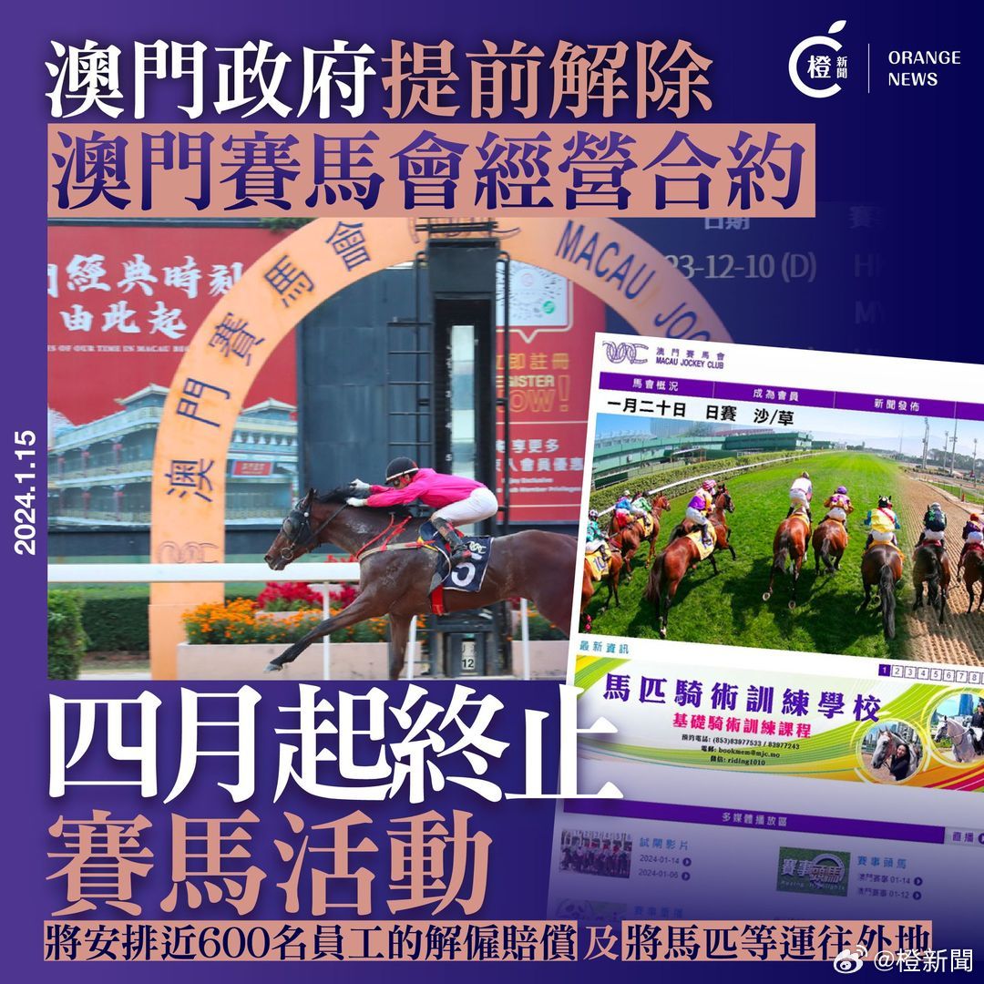 新澳门四肖四码期准,专业解读评估_LLE55.291远程版