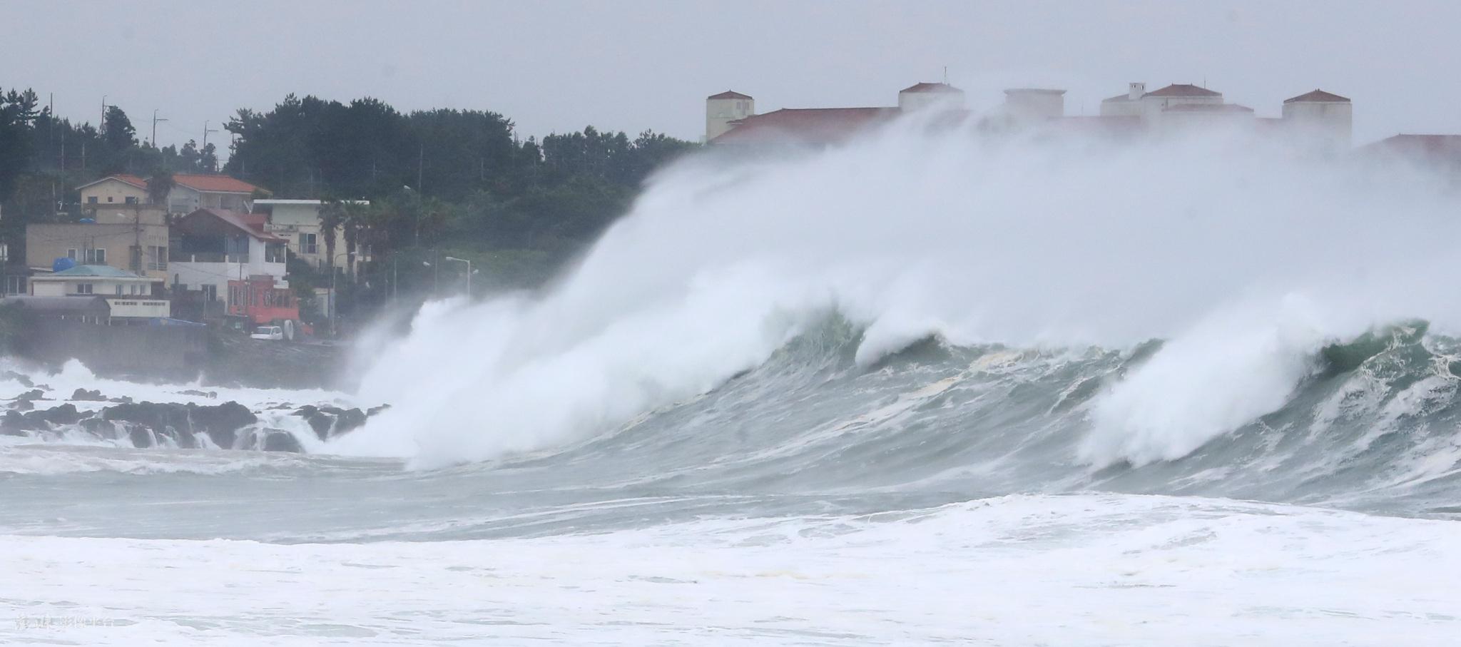 韩国济州岛台风实时更新,风雨中的美丽岛屿最新消息🌬️