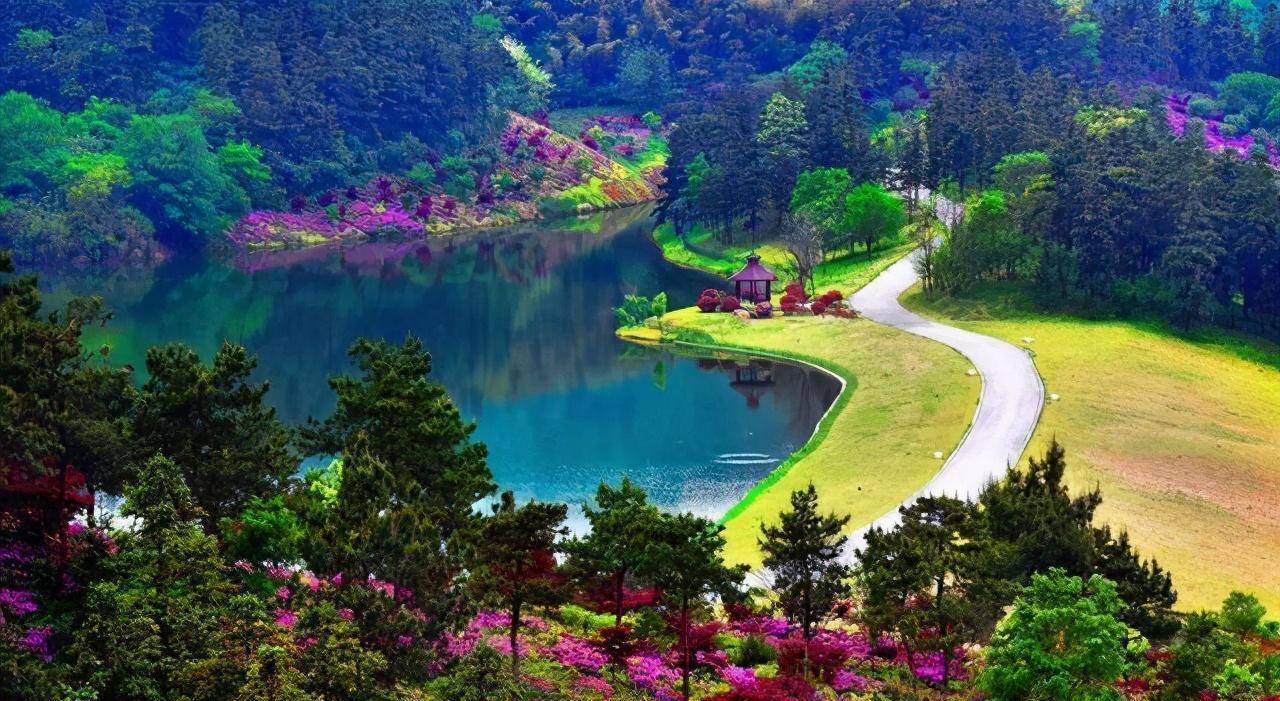 电子商务 第669页