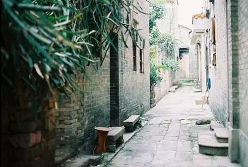 房地产最新动态与小巷深处的特色小店,探索房地产未知魅力