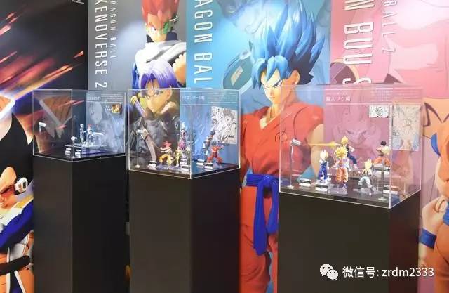 探索龙珠世界最新动态揭秘！