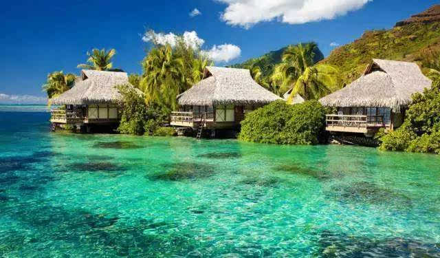 印尼最新动态，友情之旅的温馨瞬间