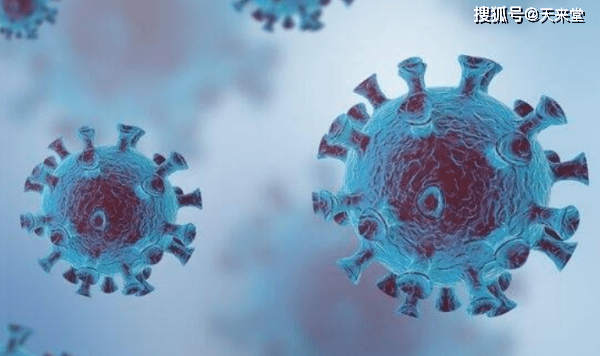 钢铁最新价格，与自然美景对话，探寻内心宁静平和之旅