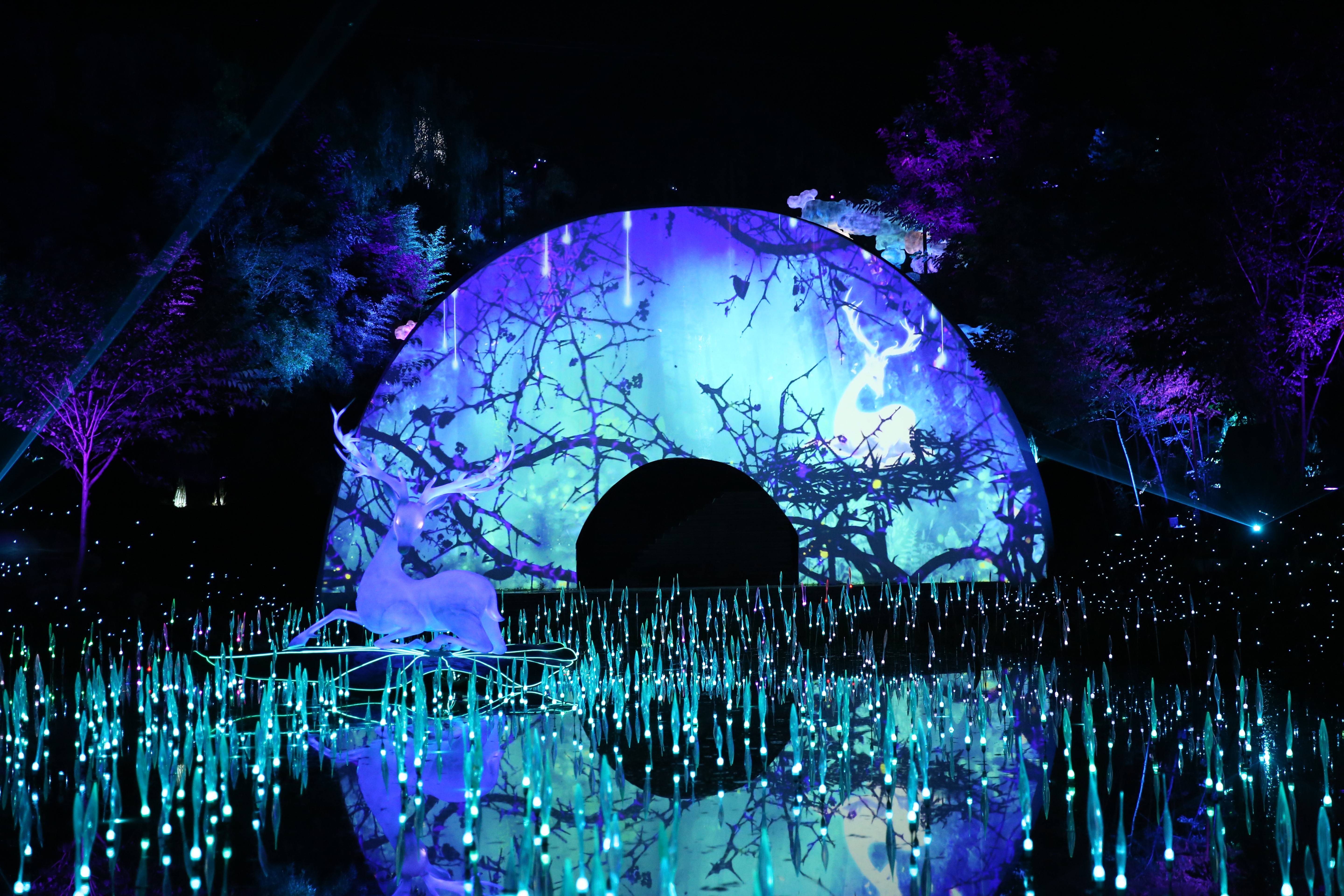 最新电影播放,光影交织的艺术盛宴