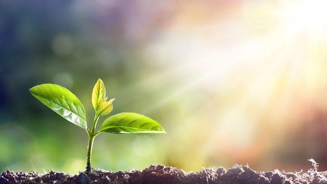 最新窗帘款式图片,探索自然美景,寻找内心平静之旅