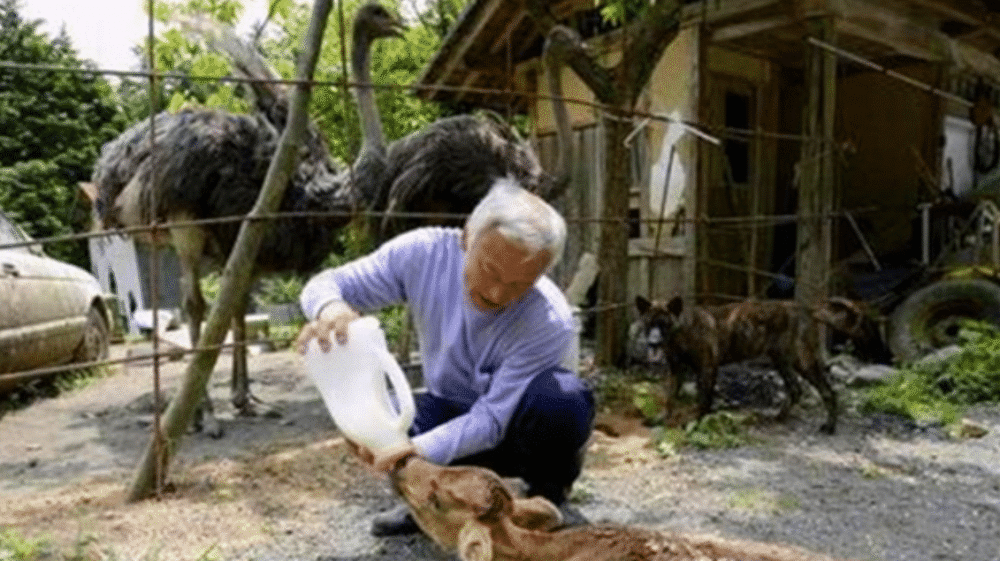 澳门六轮彩,生物工程_FCQ23.399创新版