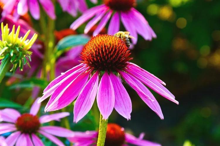 最新热搜新闻与探索自然美景之旅,追寻内心的平和乐园