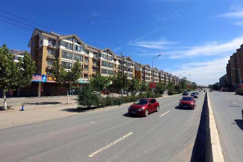 花生价格最新行情,变化中的机遇与自我成长潜力