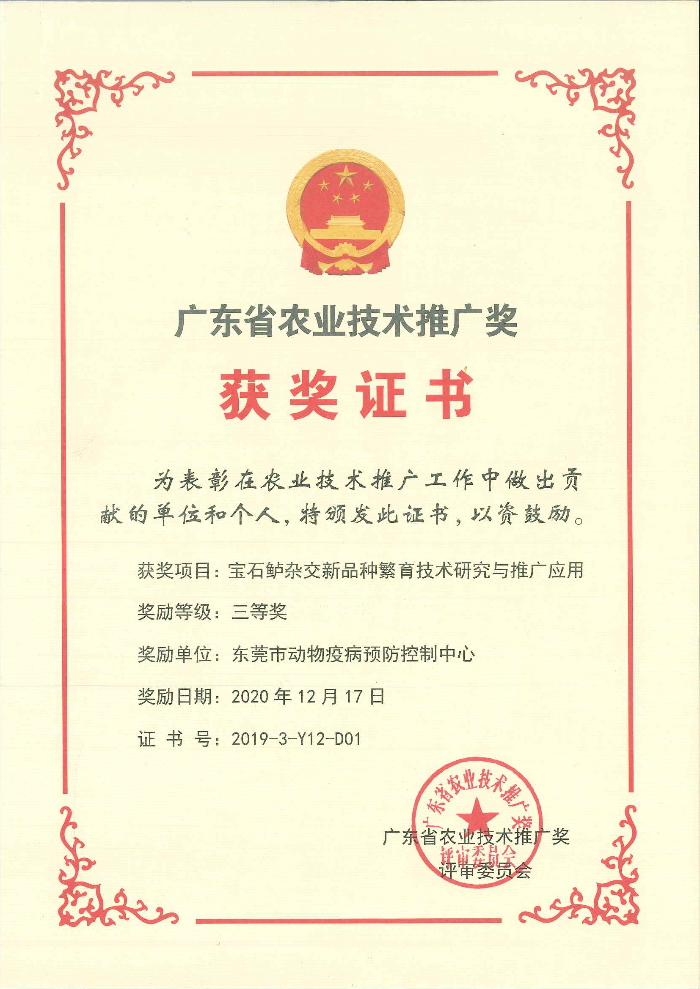 新澳三中三免费资料,实践调查说明_HXO27.144酷炫版