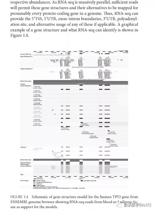 澳门江左梅郎资料论坛,数据导向计划_MYF27.936实用版