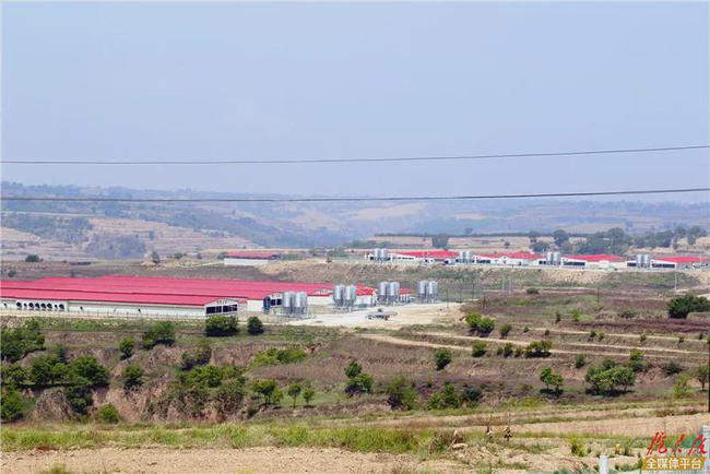 购置税最新动态,背景、进展与影响全解析