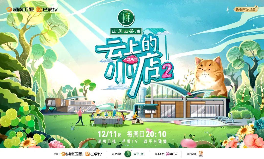 武林风最新视频揭秘，小巷深处的秘密江湖与特色小店的传奇故事