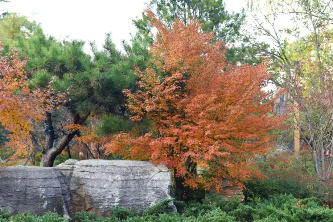微博最新版本的自然之旅,领略美景与寻找内心平静之旅!