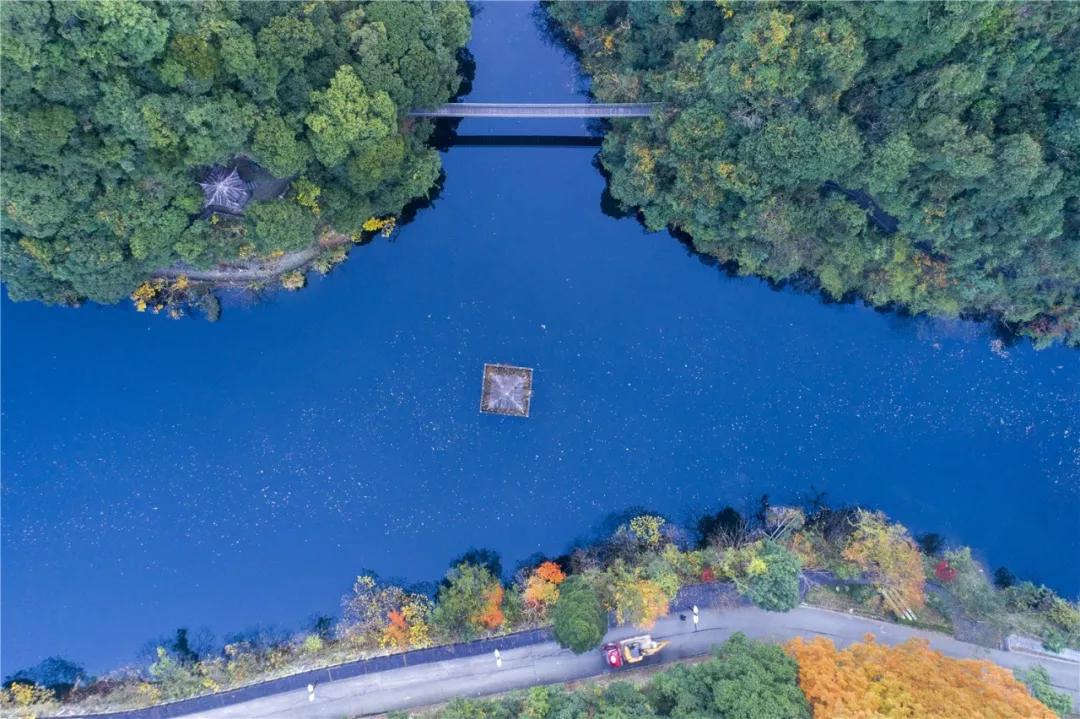 抖音新功能探索自然美景,寻找内心宁静和平和的旅程