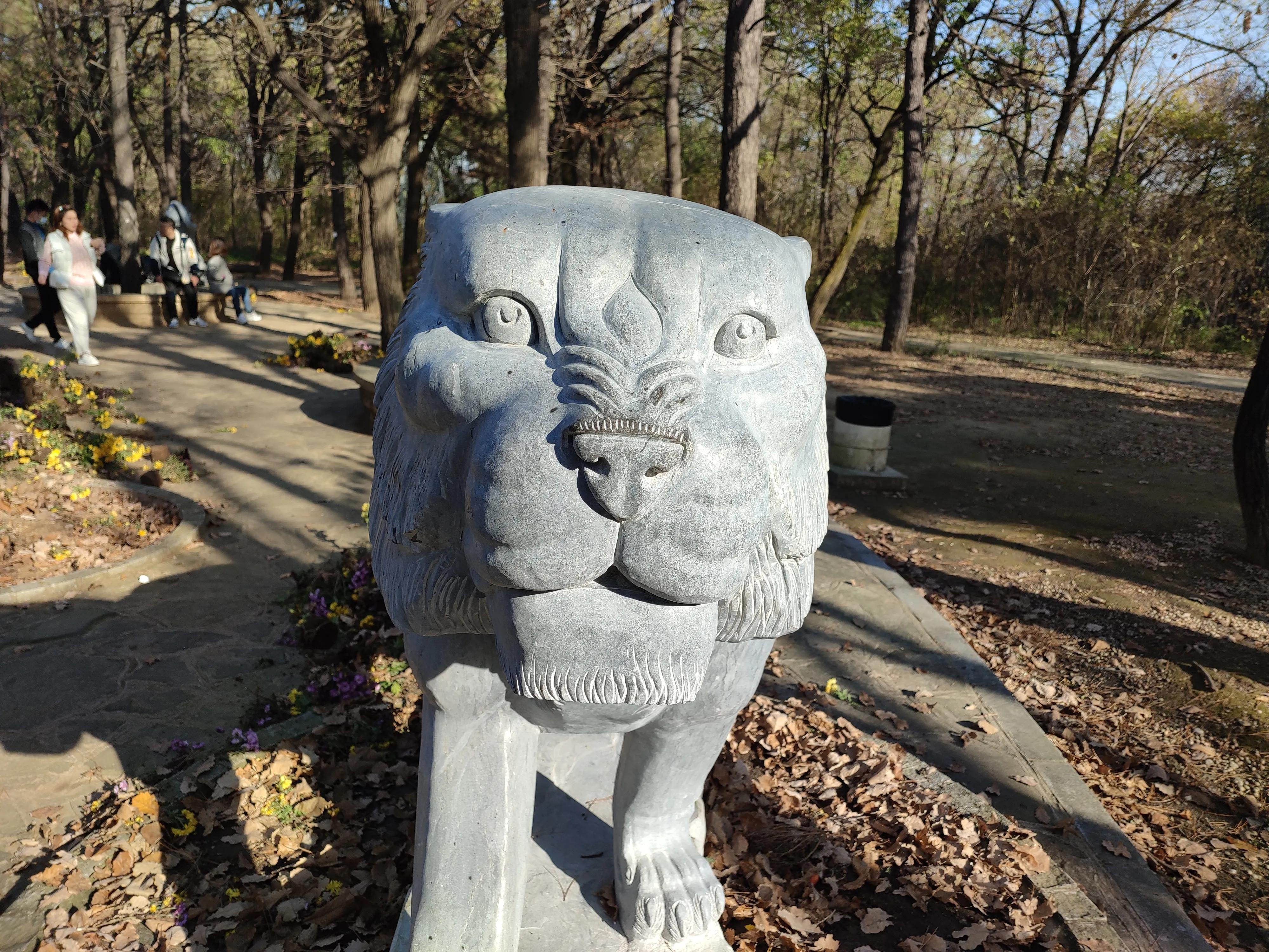 沈阳最新二手房，轻松开启自然美景探索之旅