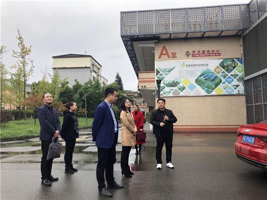 青神最新动态更新