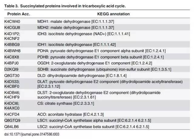 0149443查询,澳彩资料,具象化表达解说_BYH81.383程序版