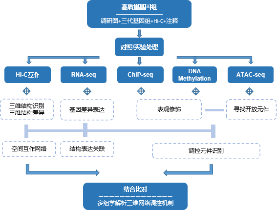 新澳门六合免费大全,深入挖掘解释说明_THF81.477迅捷版