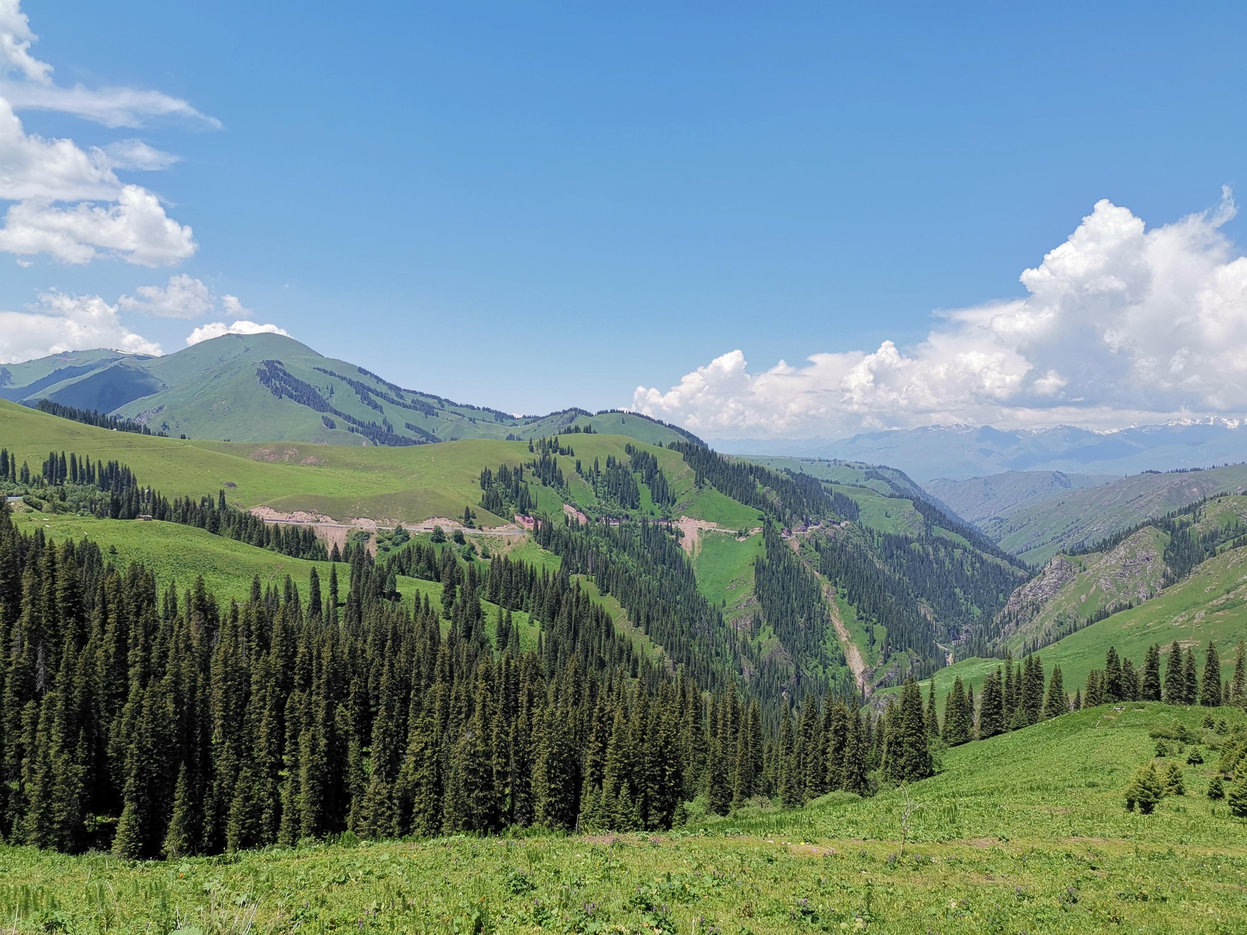 Photoshop最新功能与探索自然美景之旅,内心的宁静探索之旅