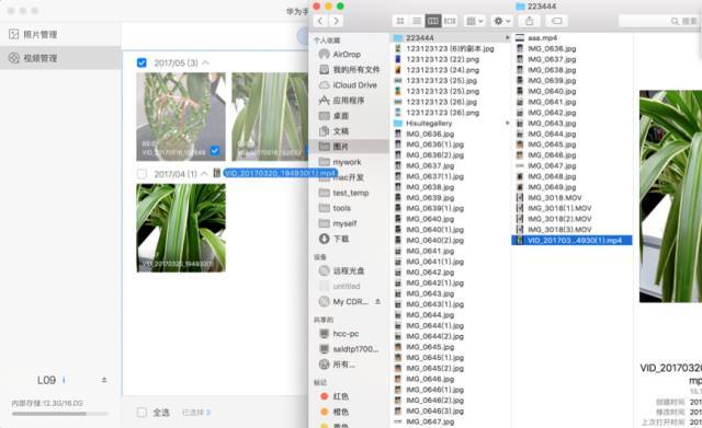 新奥天天免费资料公开,数据引导设计方法_GFO85.470百搭版