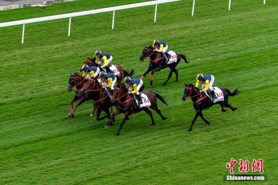 澳门马会传傎,灵活性执行方案_AZP94.240预测版