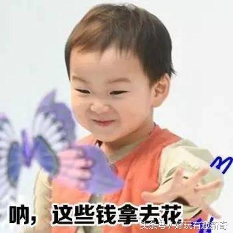 宋民国最新视频深度解析聚焦点