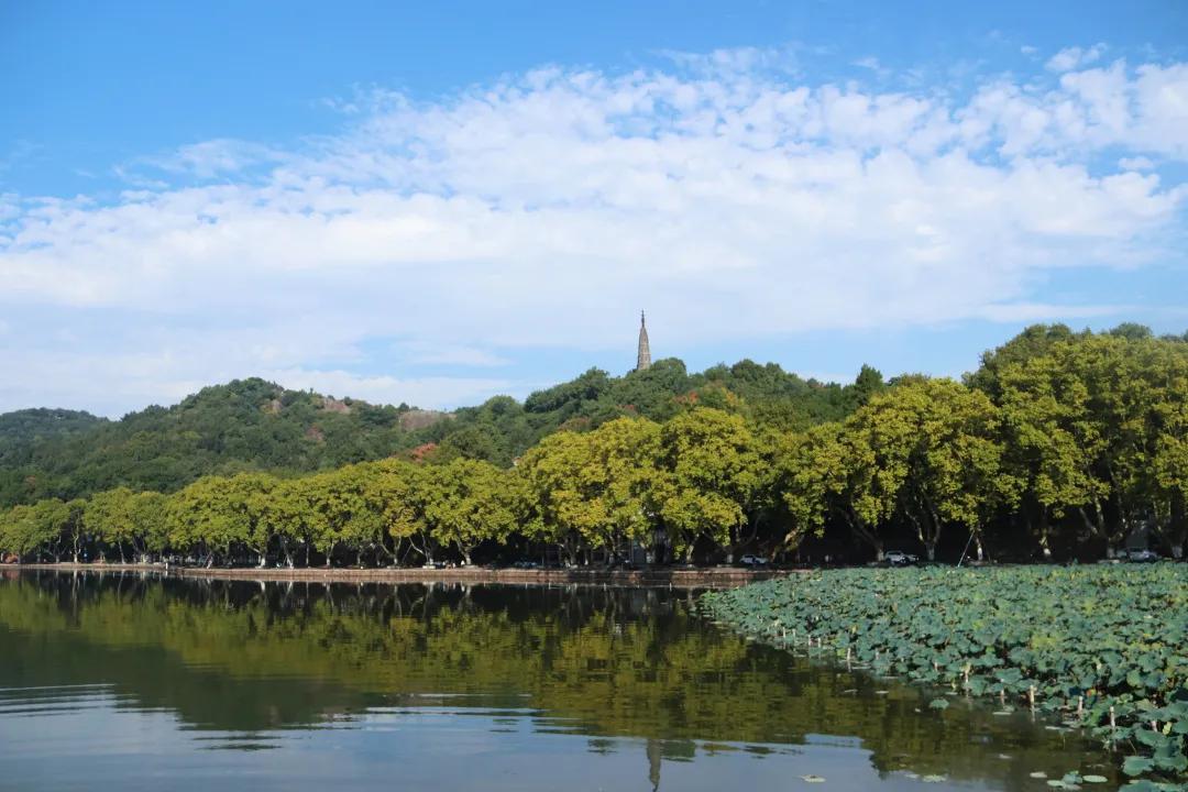 重生文新篇章,小巷中的隐藏瑰宝,探寻重生故事新篇章