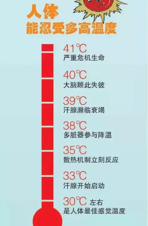 电子商务 第536页