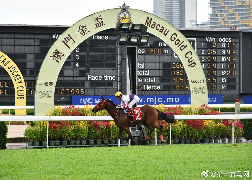 新澳马会挂牌免费资料,快速响应策略解析_定制版5.201-8