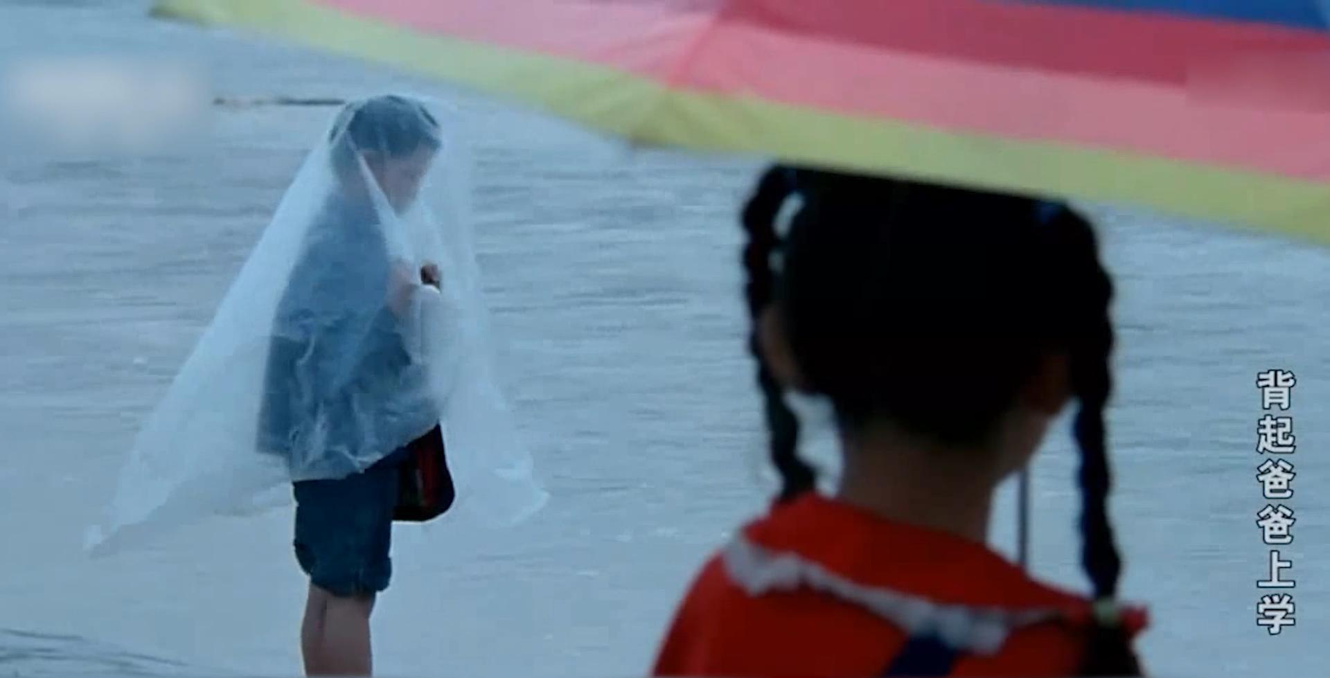 杭州最新电影上映与探索自然美景之旅,寻找内心的平和之地