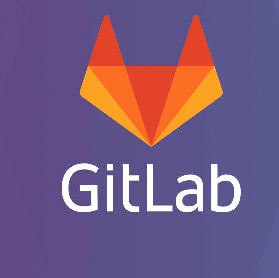 Zoikhem Lab Choye最新探讨，深度分析与观点阐述