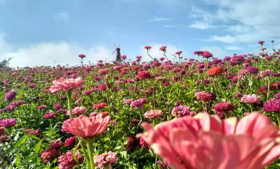 一站式城市服务平台 第509页