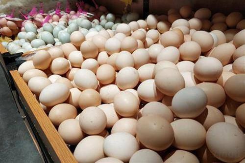 最新鸡蛋价格分析与预测报告