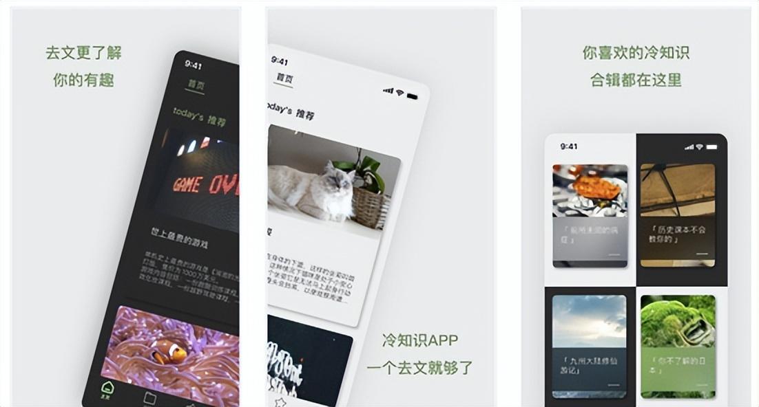 探索未知领域的独特路径,最新偏门发展之路揭秘
