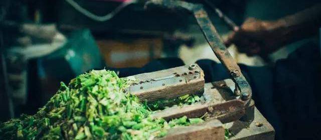 儋州最新小品2017,小巷深处的隐藏瑰宝