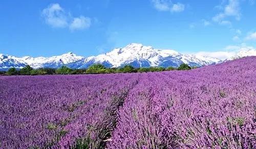 熟料粒子最新价格,与自然美景的邂逅,探寻内心平和之旅