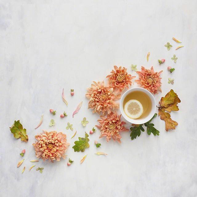 恋老最新小说,探索成熟之美的独特魅力