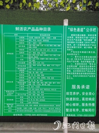最新绿通目录大揭秘,绿色生活指南🌿📚