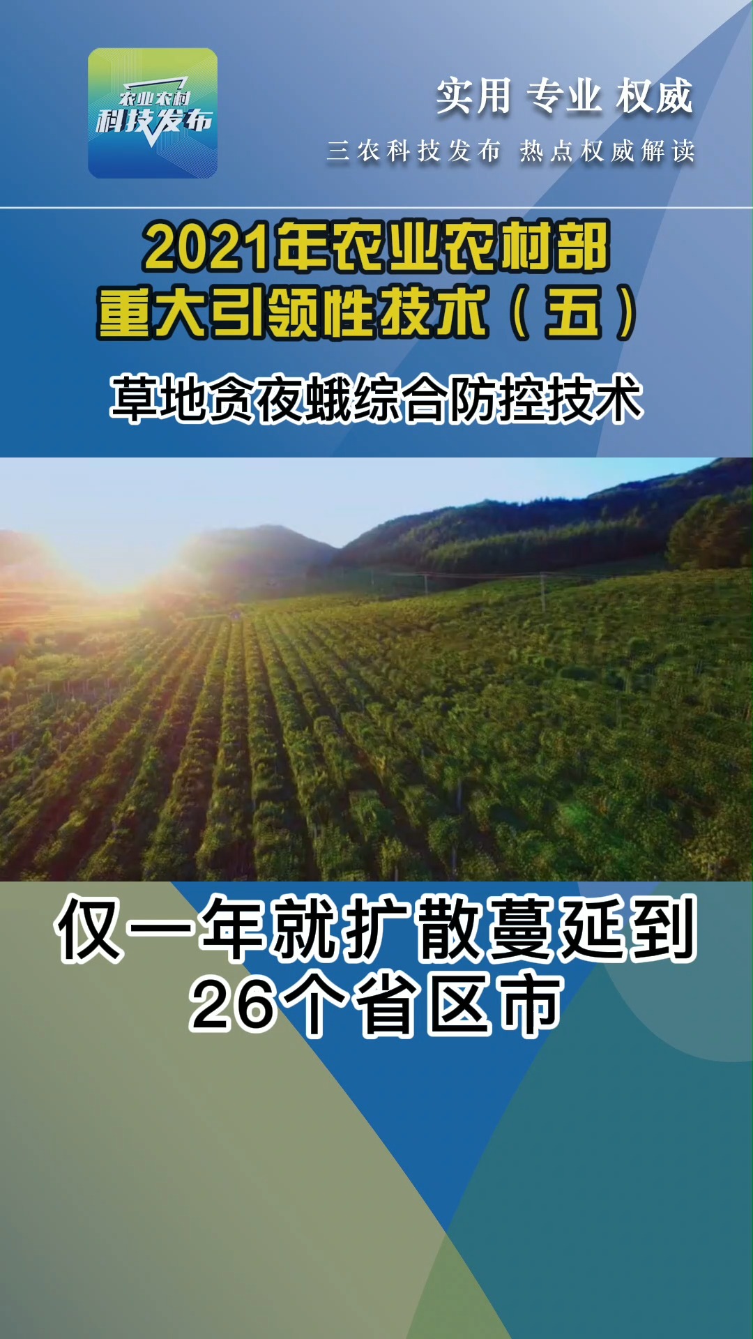 最新直播稻技术引领农业革命新浪潮