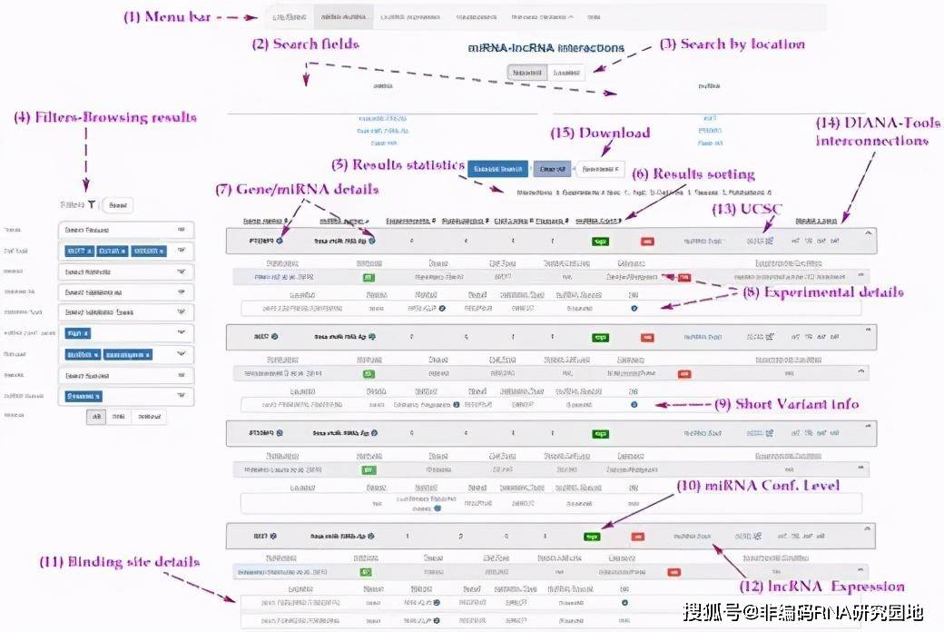 0149443cσm查询,澳彩资料,实证解读说明_经典款47.904-5