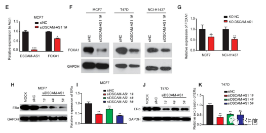 944cc正版资料大全,详细数据解释定义_Prestige25.580-9