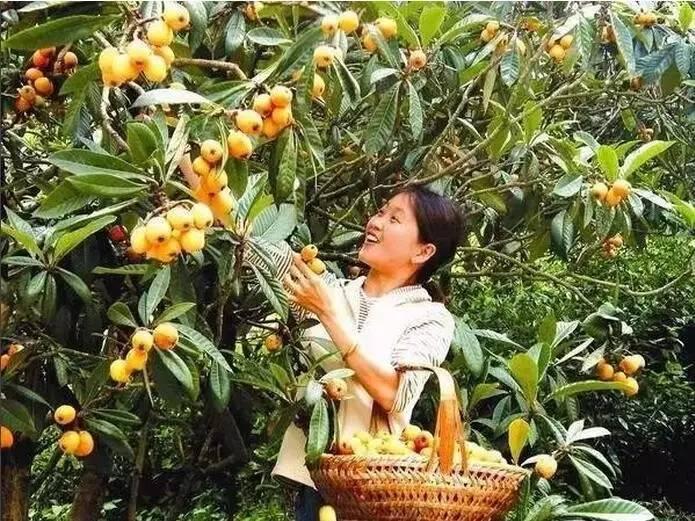 京东最新股价,重磅更新京东最新股价动态,洞悉市场脉搏!