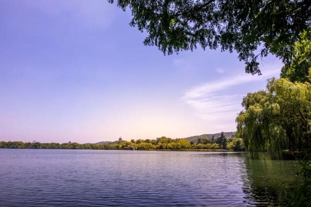 郯城事件最新动态，科技重塑生活，高科技产品体验前所未有