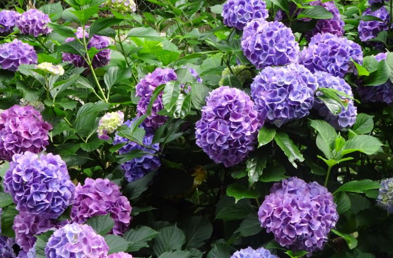 最新电影在线观看攻略,轻松掌握观影技能