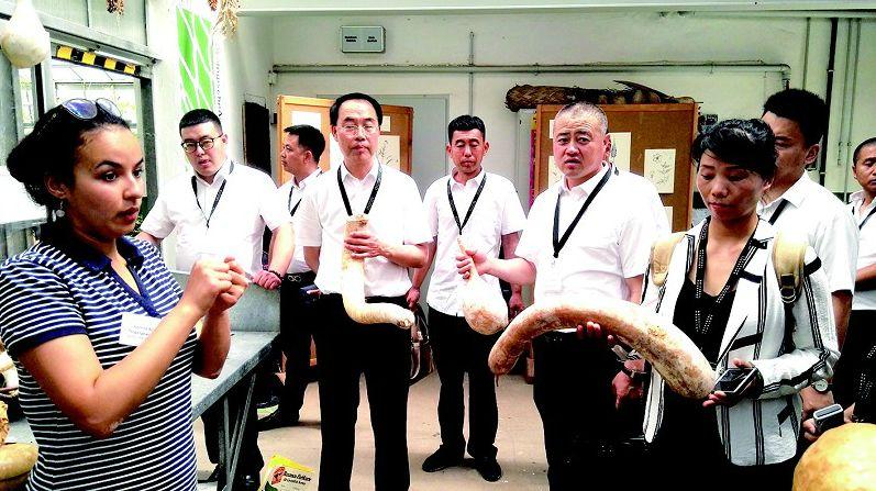 畅玩助手最新更新,游戏世界全新探索体验