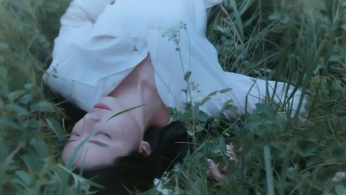 最新内地伦理电影,自然美景的治愈之旅探索