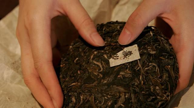 安吉最新新闻，初学者与进阶用户指南——获取与了解最新资讯全攻略